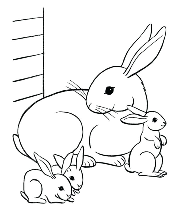 Brer Rabbit Coloring Pages at GetColorings.com | Free printable