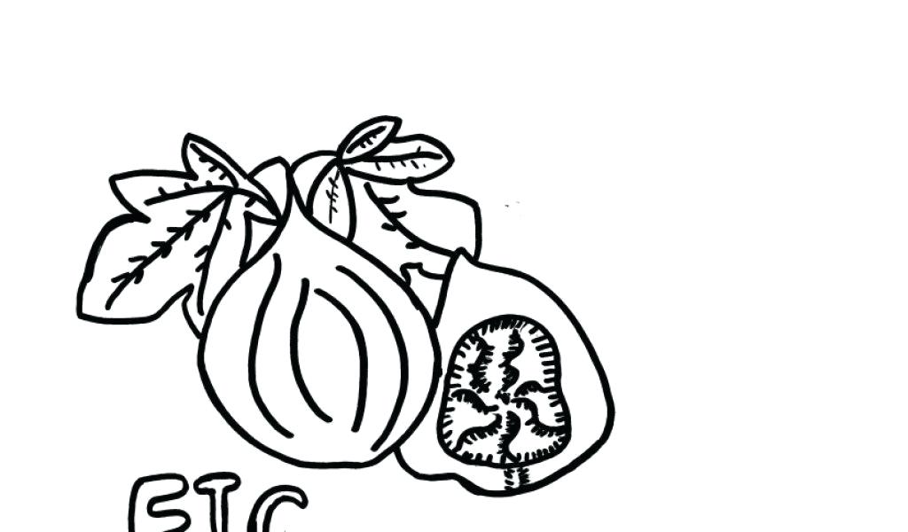 Broncos Logo Coloring Page at GetColorings.com | Free printable