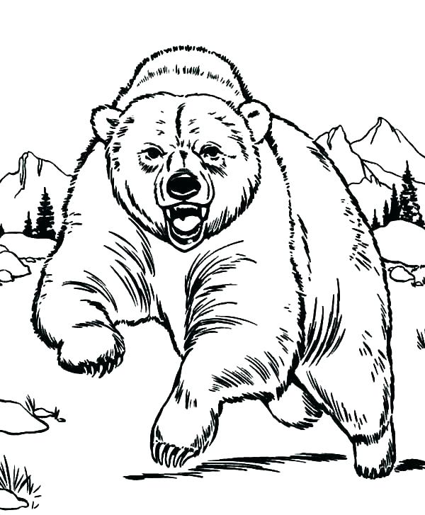 Brown Bear Coloring Pages at Free printable