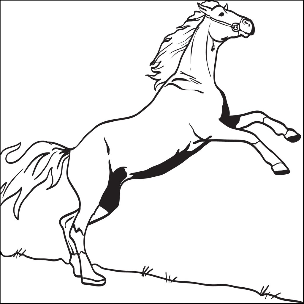 Bucking Horse Coloring Pages at GetColoringscom Free
