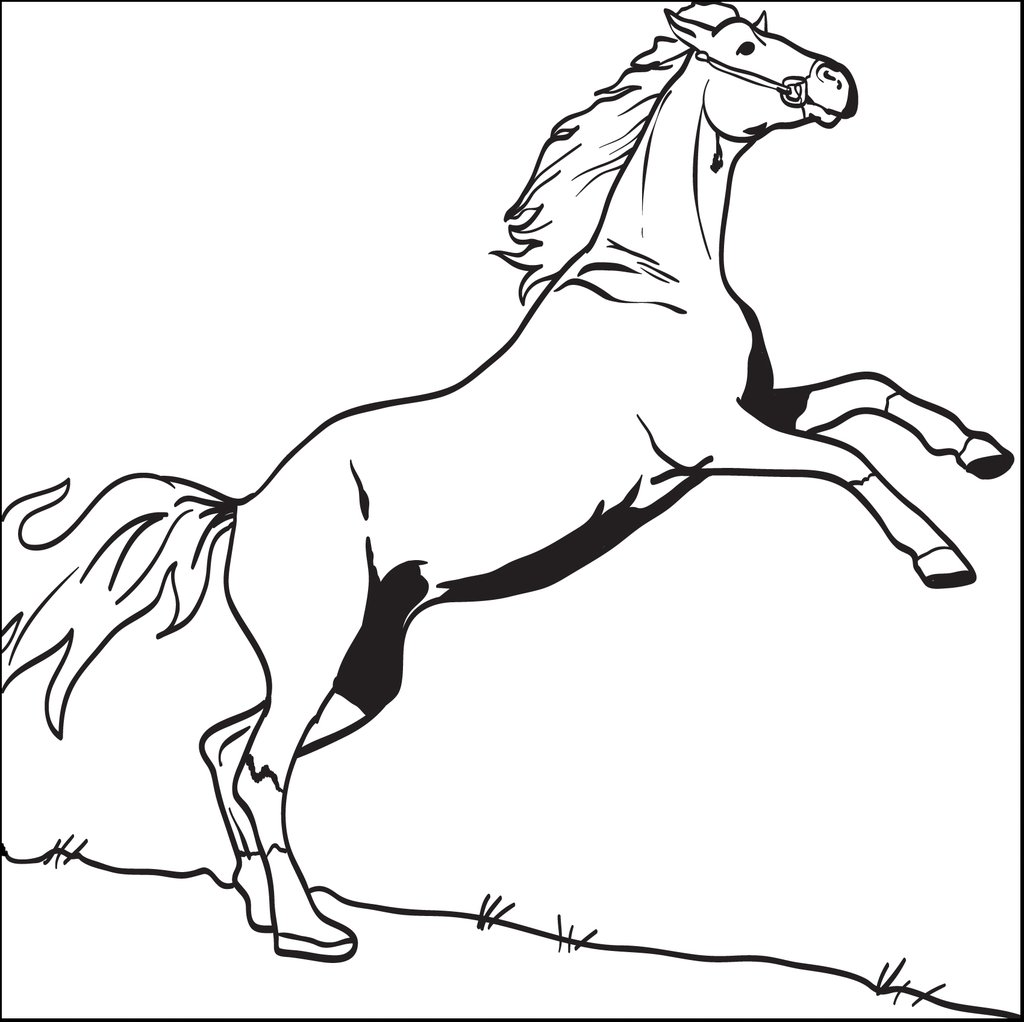 Bucking Horse Coloring Pages at GetColorings.com | Free printable