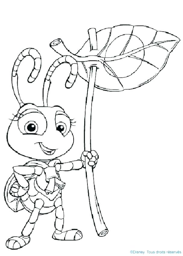 Bugs Coloring Pages Preschool At Getcolorings.com 