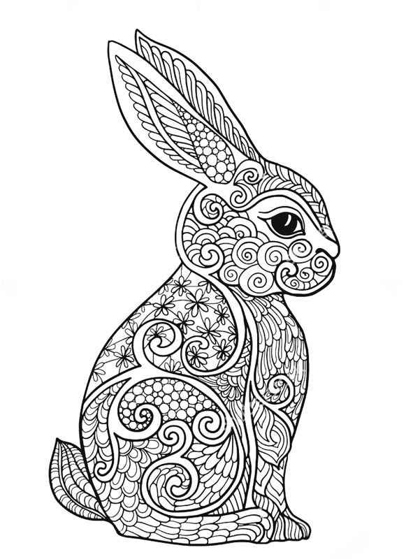 Bunny Coloring Pages For Adults at GetColorings.com | Free printable