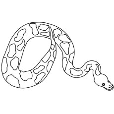 Burmese Python Coloring Page At GetColorings Free Printable