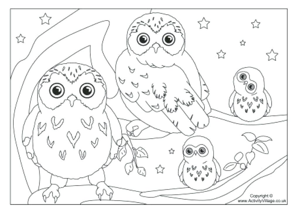 Burrowing Owl Coloring Page at GetColorings.com | Free printable