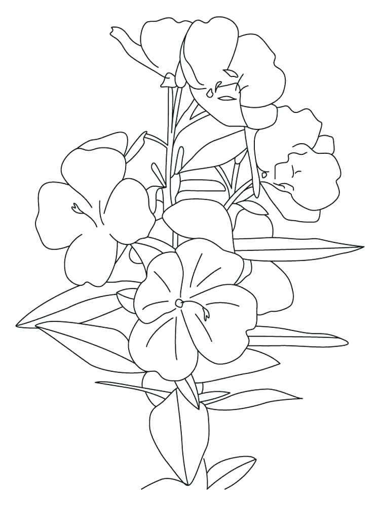 750x1000 Buttercup Coloring Pages Surprising Colour Best Of Chase A