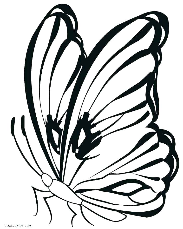 Butterfly Cocoon Coloring Pages at GetColorings.com | Free printable