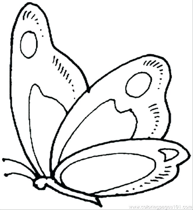 Butterfly Cocoon Coloring Pages at GetColorings.com | Free printable