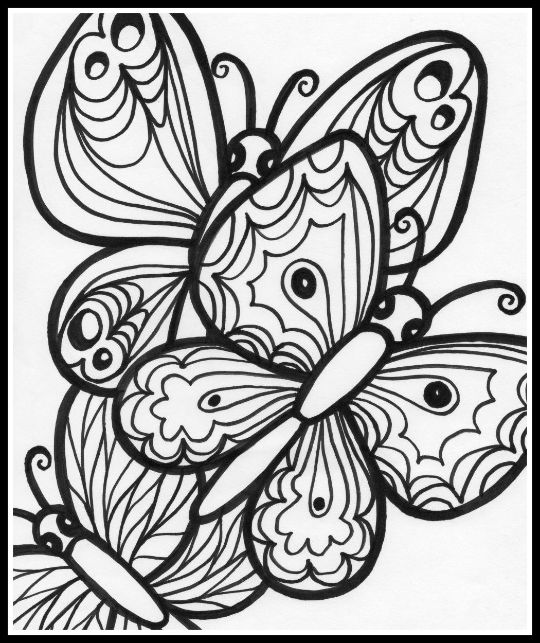 Butterfly Life Cycle Coloring Page at GetColorings.com | Free printable