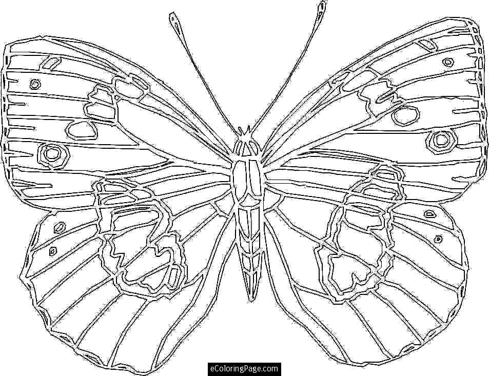 Butterfree Coloring Page at GetColorings.com | Free printable colorings