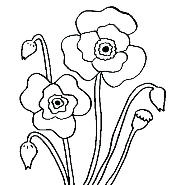 california-mission-coloring-pages-at-getcolorings-free-printable