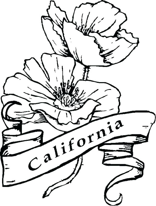 California State Symbols Coloring Pages at GetColorings