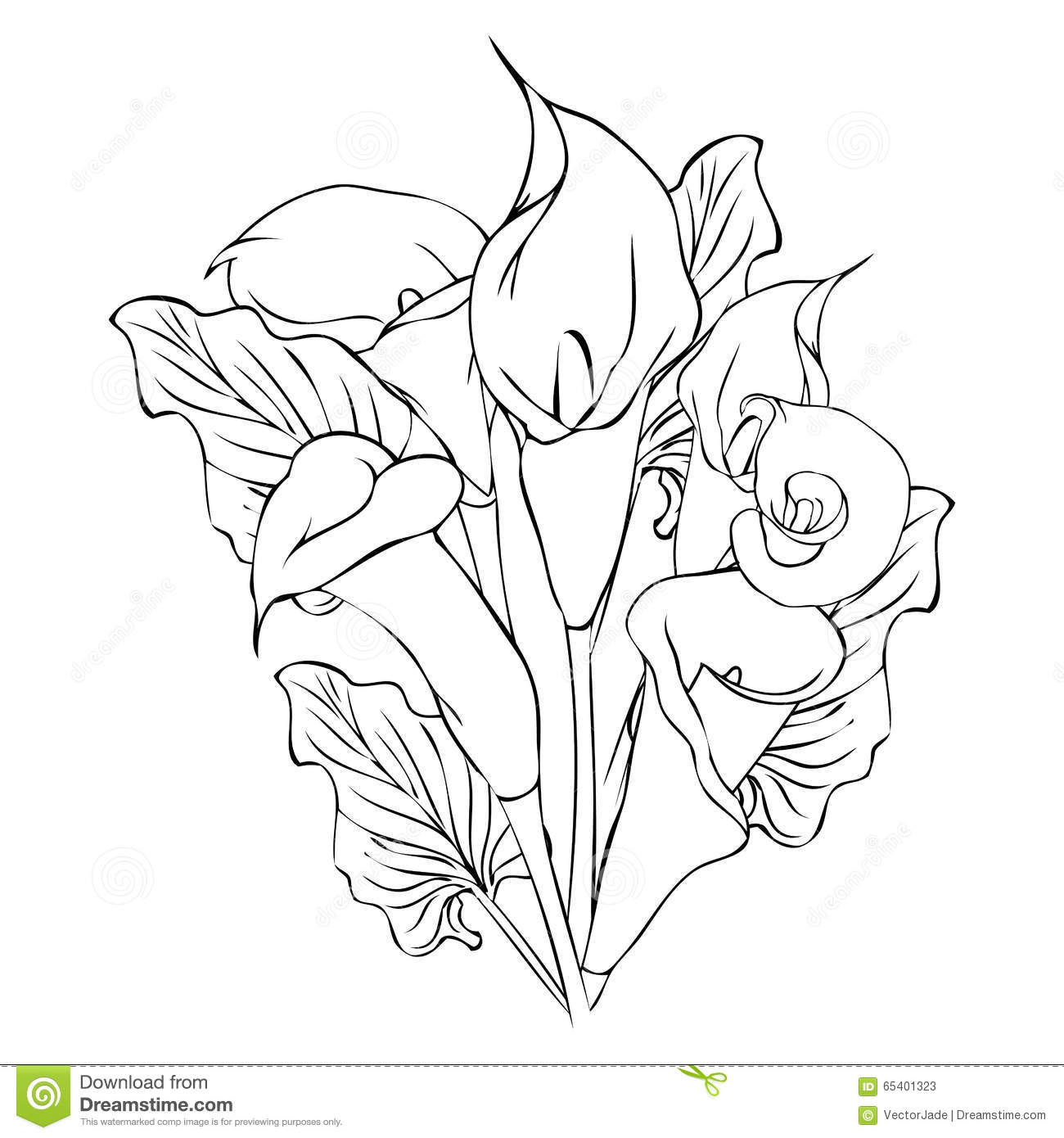 Calla Lily Coloring Pages at GetColorings.com | Free printable