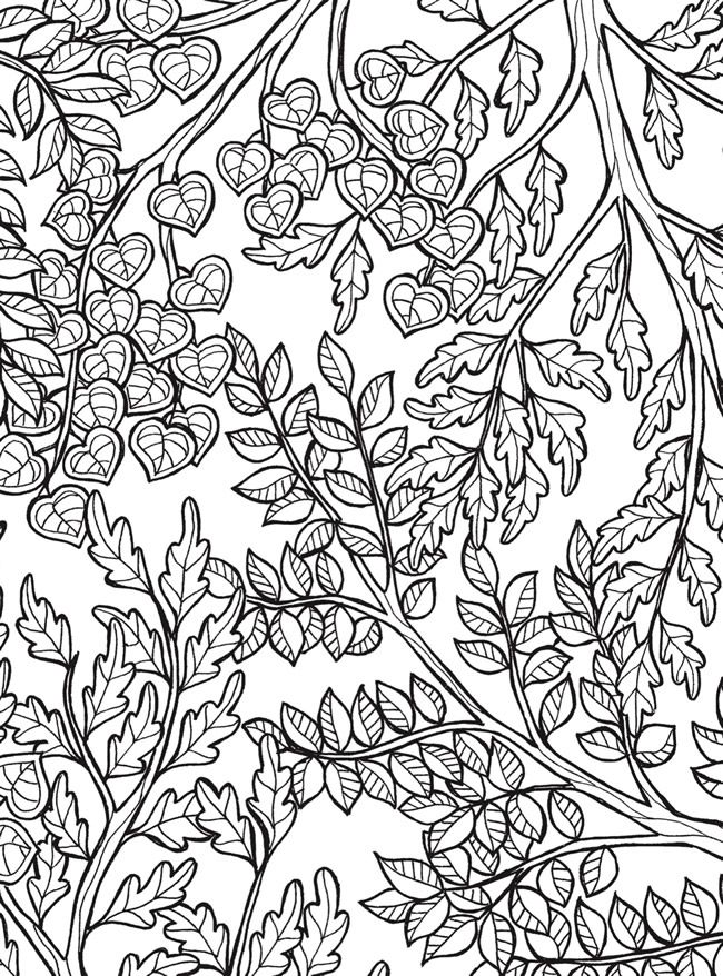 Calming Coloring Pages For Adults at Free printable