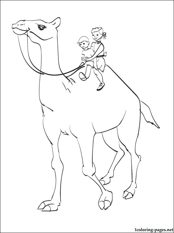 Camel Coloring Page at GetColorings.com | Free printable colorings