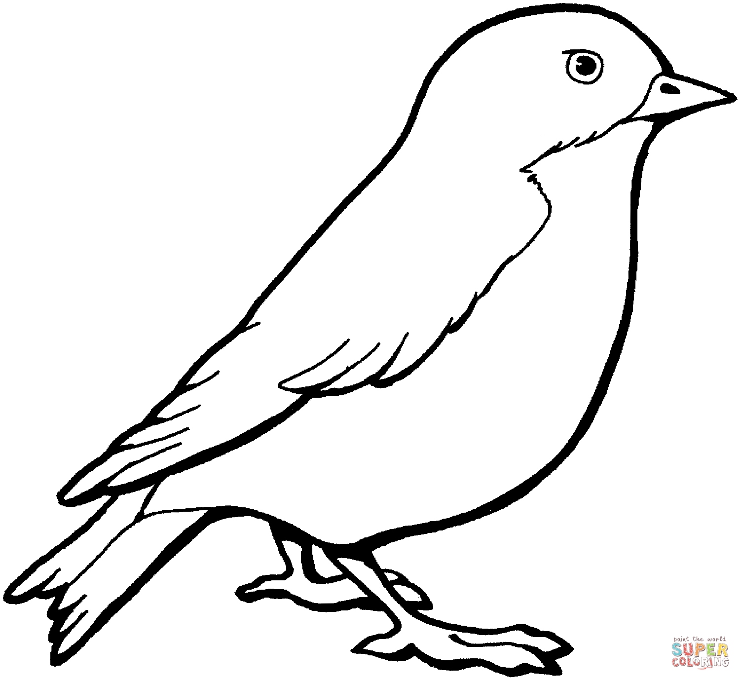 canary-coloring-page-at-getcolorings-free-printable-colorings-pages-to-print-and-color