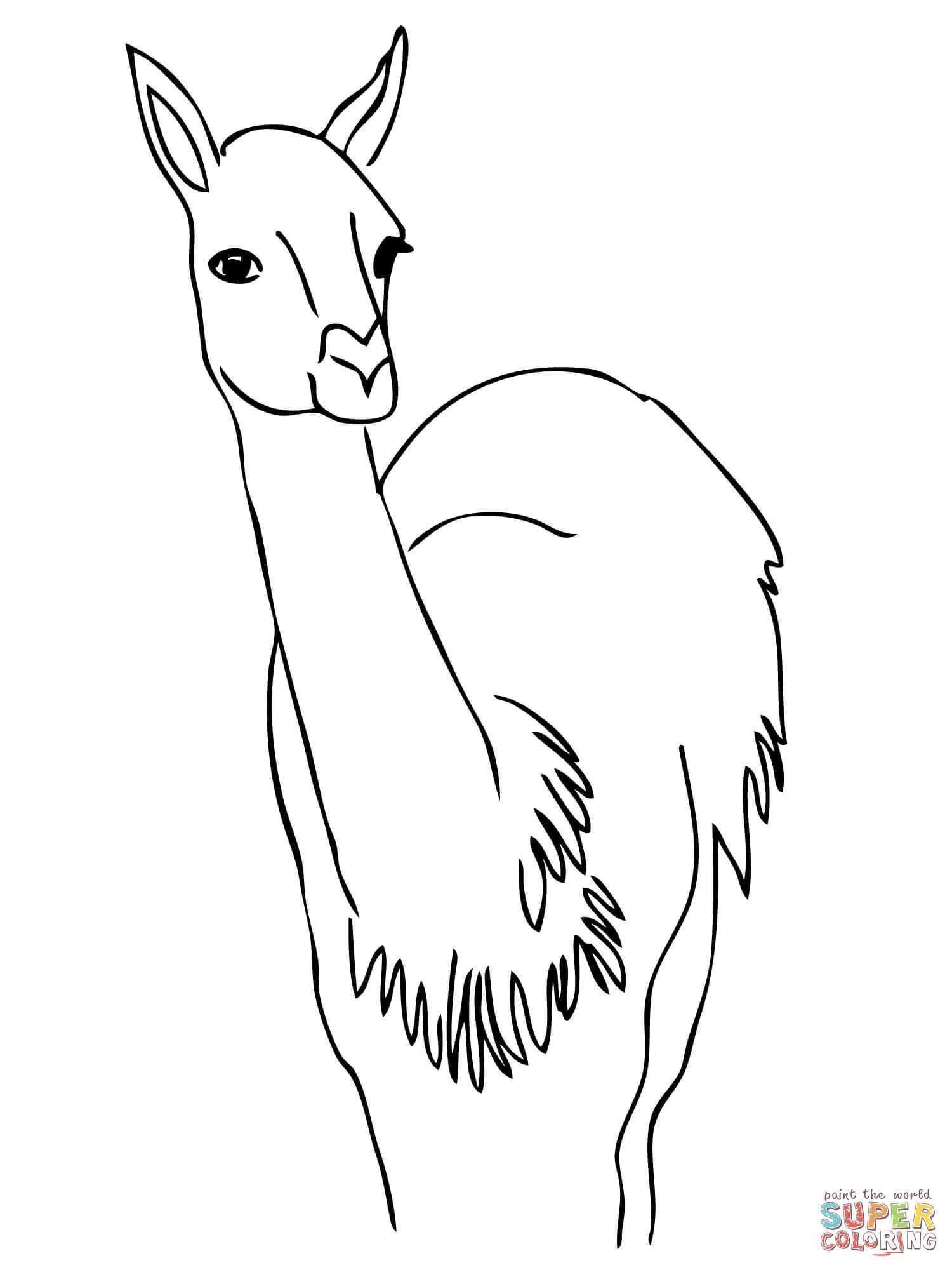 Capybara Coloring Page at GetColorings.com | Free printable colorings