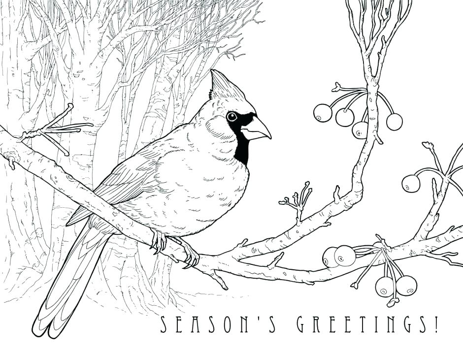 940x723 Cardinal Coloring Pages Page With