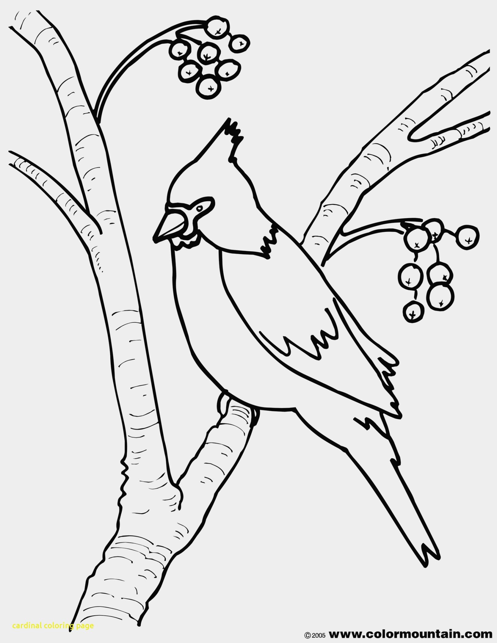 cardinals-logo-coloring-pages-at-getcolorings-free-printable
