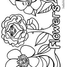 Carnation Coloring Page at GetColorings.com | Free printable colorings