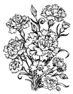 Carnation Flower Coloring Pages at GetColorings.com | Free printable