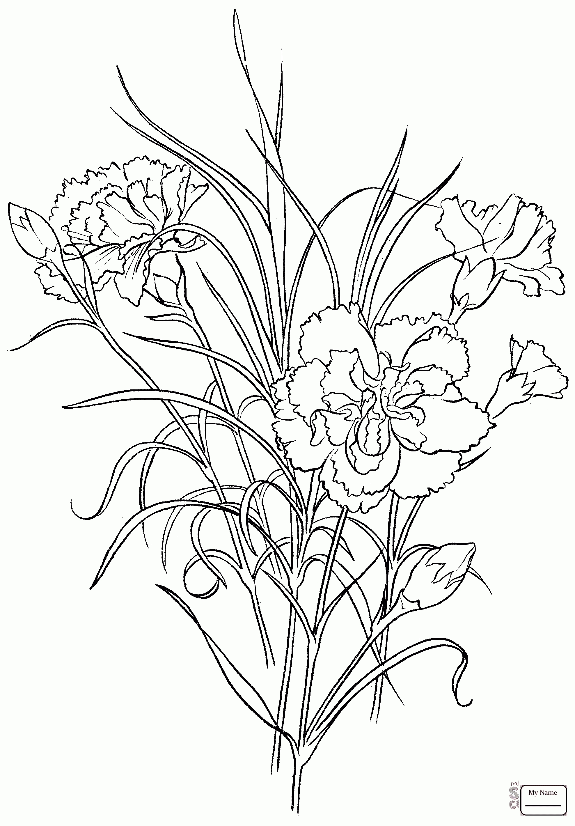 Carnation Flower Coloring Pages at GetColorings.com | Free printable