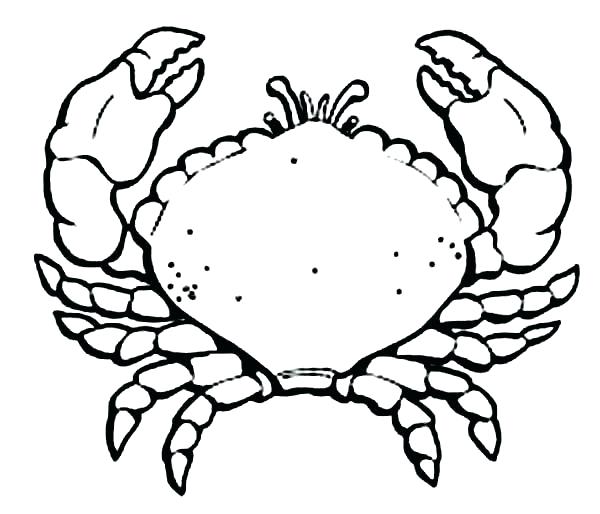 Cartoon Crab Coloring Pages at GetColorings.com | Free printable