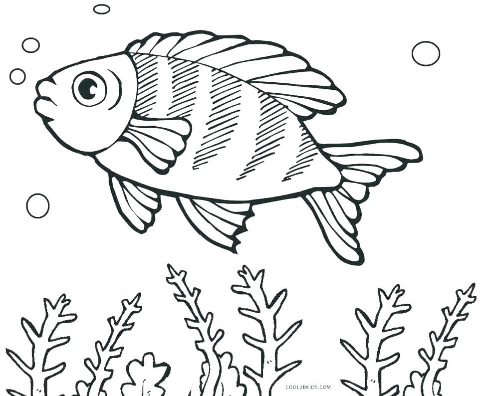 Cartoon Fish Coloring Pages at GetColoringscom Free