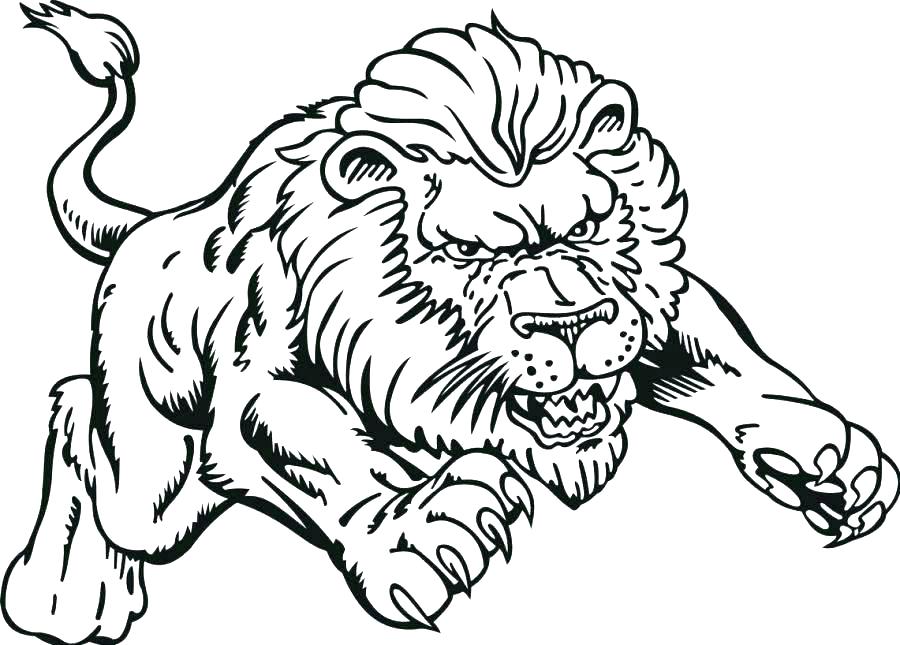 Cartoon Lion Coloring Pages at GetColoringscom Free