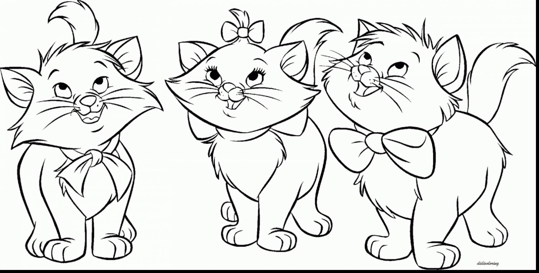 Cat Coloring Pages at Free printable