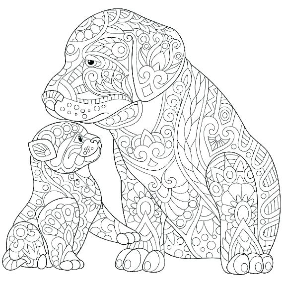 Cat Coloring Pages For Adults at GetColorings.com | Free printable