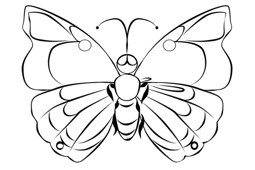caterpillar and butterfly coloring pages