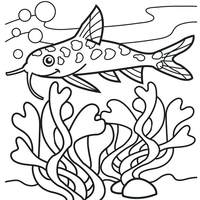 Catfish Coloring Page at GetColorings.com | Free printable colorings