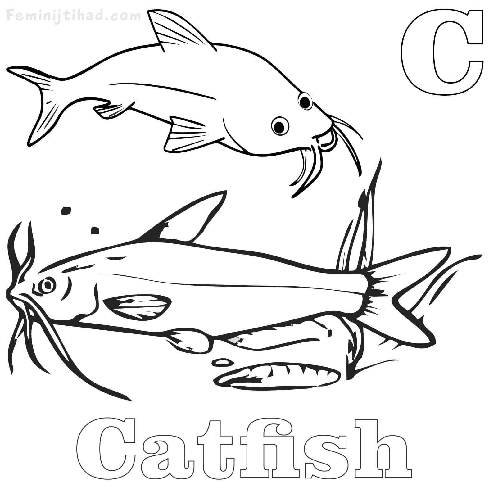 Catfish Coloring Page at GetColorings.com | Free printable ...