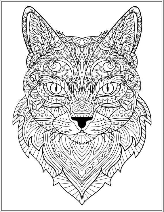 cat coloring pages for adults