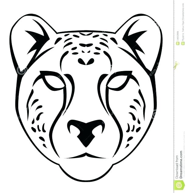 Cheetah Cub Coloring Pages at GetColorings.com | Free printable