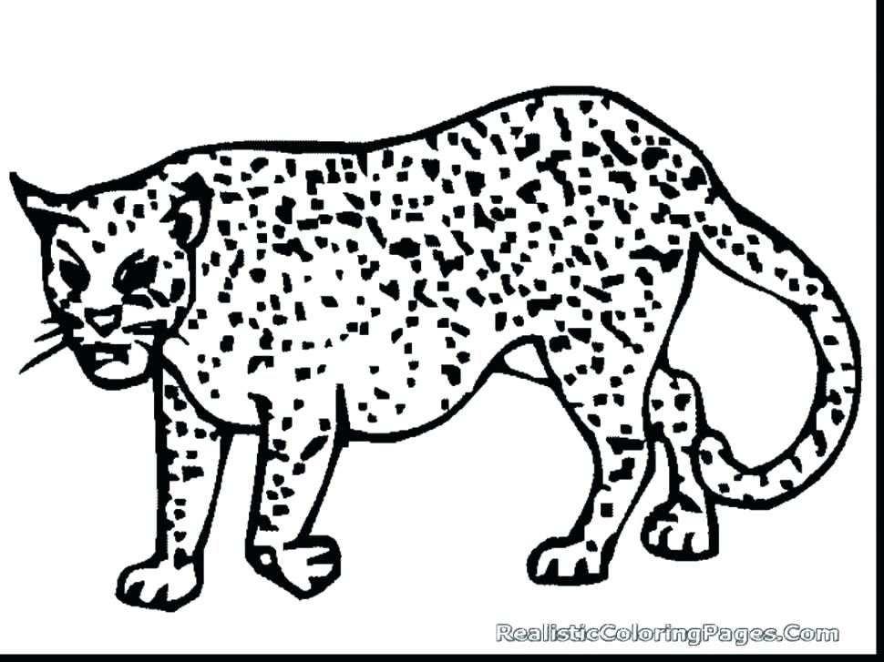 Cheetah Running Coloring Pages at Free printable