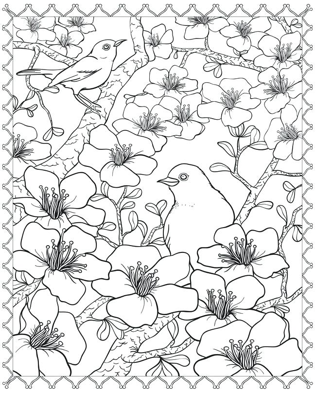 Cherry Blossom Tree Coloring Page at GetColorings.com ...
