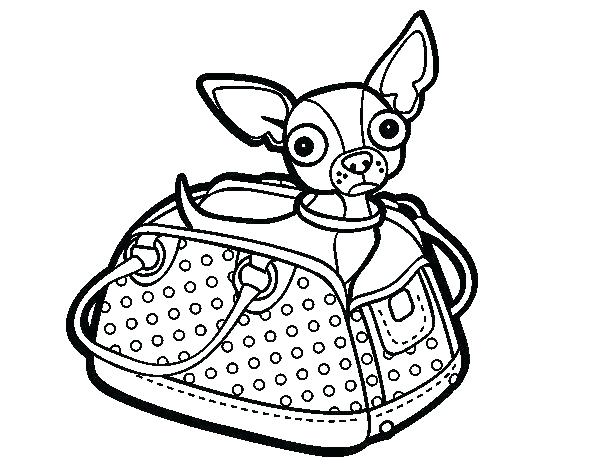 Chihuahua Coloring Pages At Getcolorings Free Printable Colorings