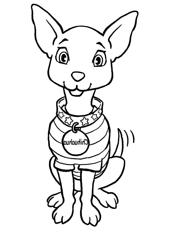 Chihuahua Coloring Pages at GetColorings.com | Free printable colorings