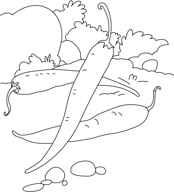 Chilli Coloring Pages at GetColorings.com | Free printable colorings