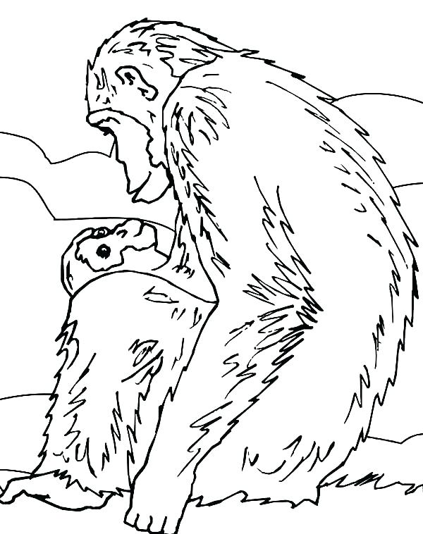 Chimpanzee Coloring Page at GetColorings.com | Free printable colorings