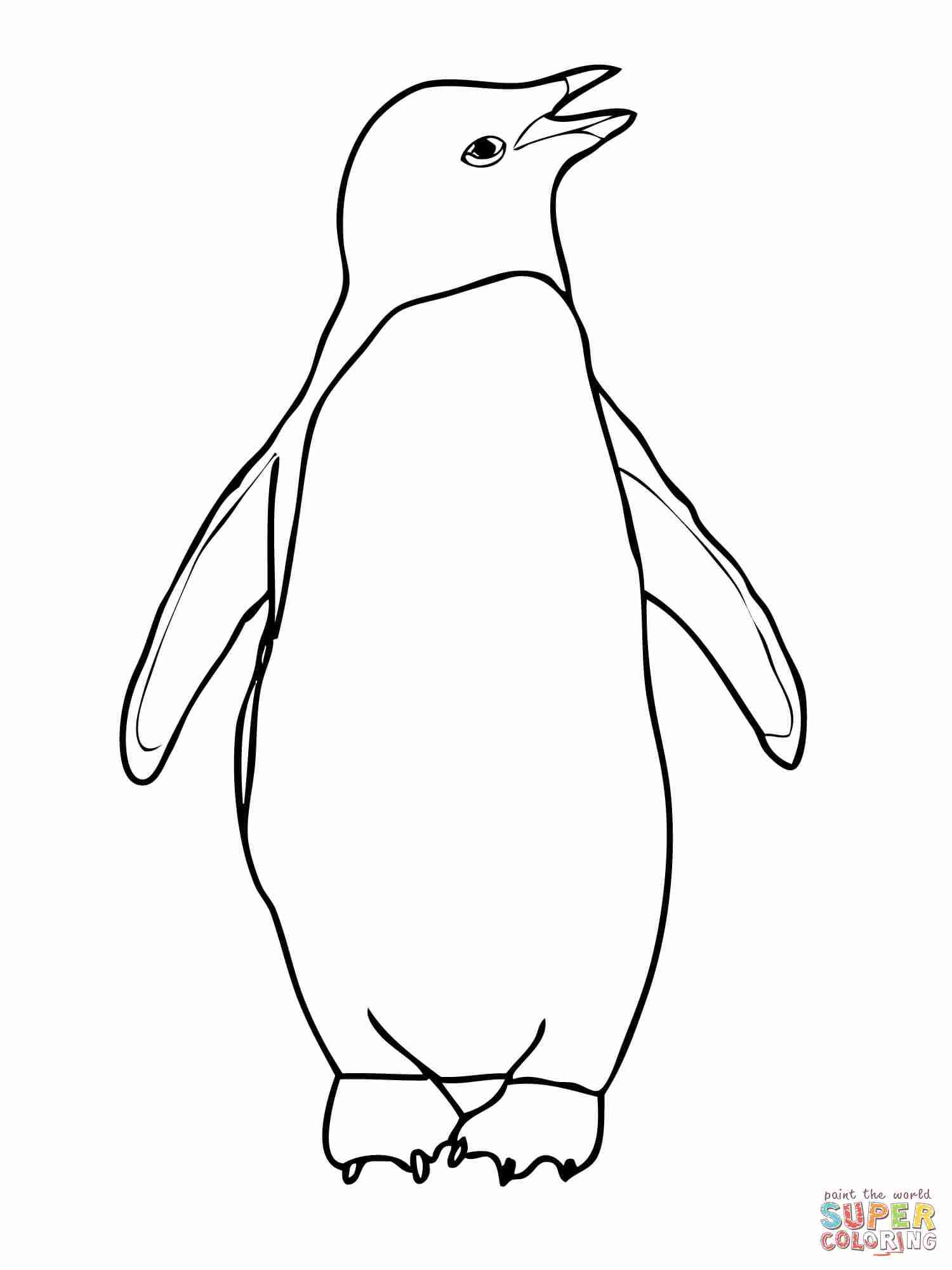 Chinstrap Penguin Coloring Page At GetColorings Free Printable 