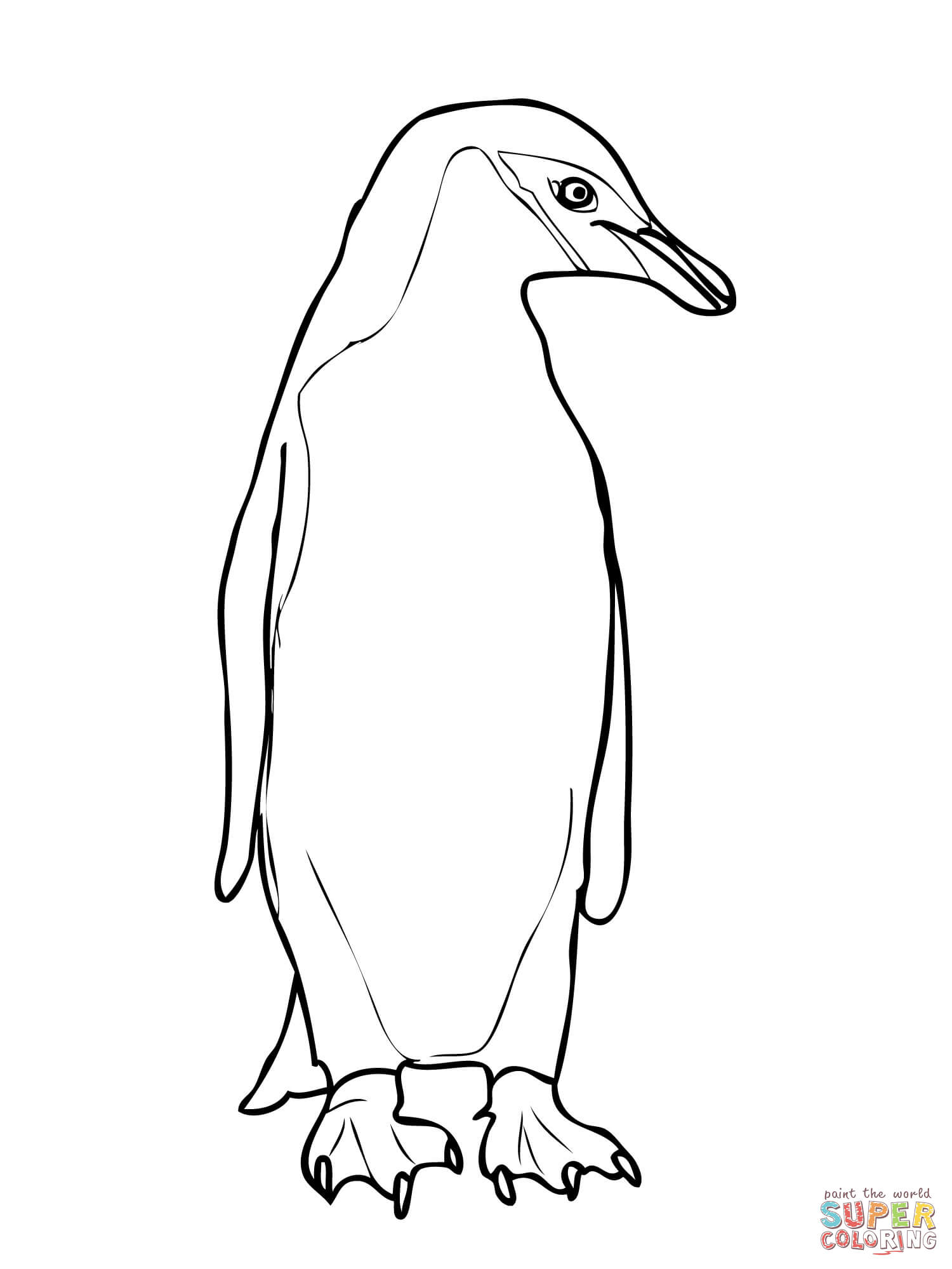 Chinstrap Penguin Coloring Page at GetColorings.com | Free printable