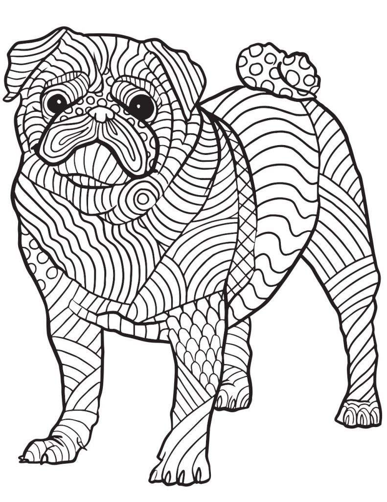 Chow Chow Coloring Pages at GetColorings.com | Free ...