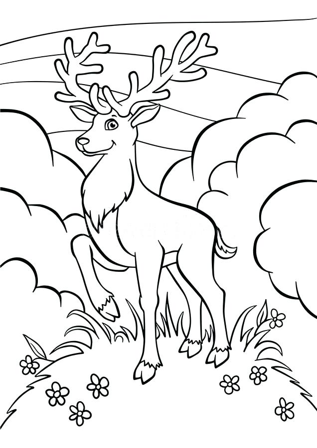 Christmas Deer Coloring Pages At Getcolorings.com | Free Printable