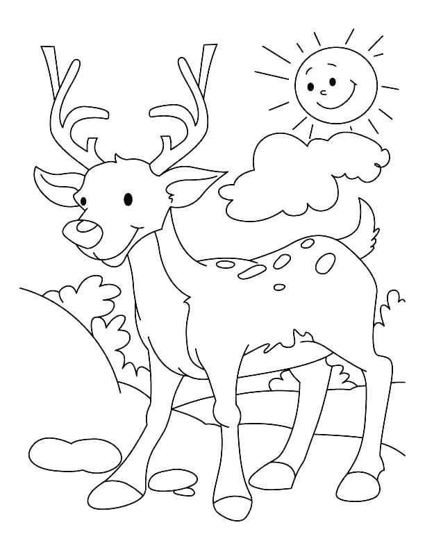 Christmas Deer Coloring Pages At Getcolorings.com | Free Printable