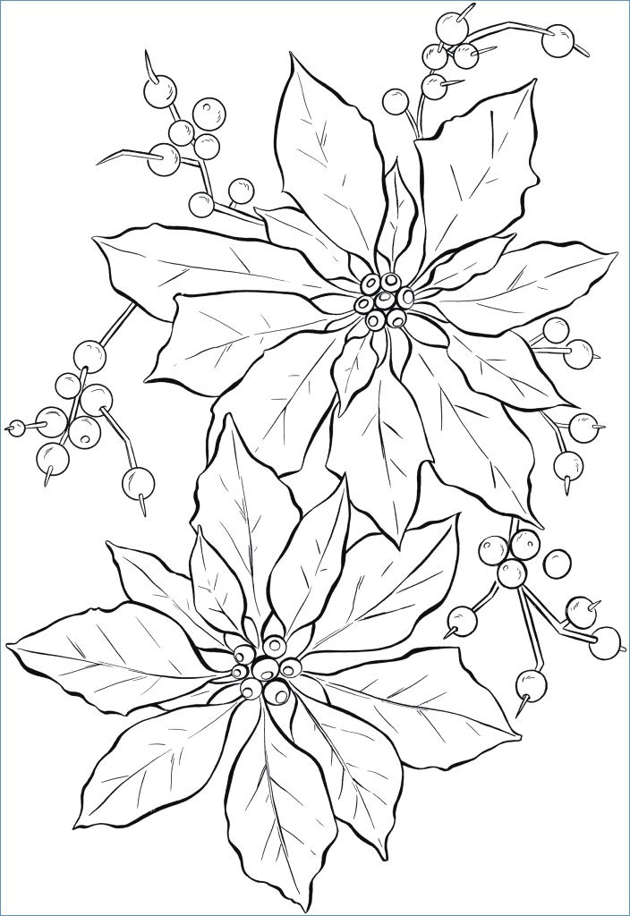 Christmas Flower Coloring Pages at GetColorings.com  Free printable colorings pages to print 