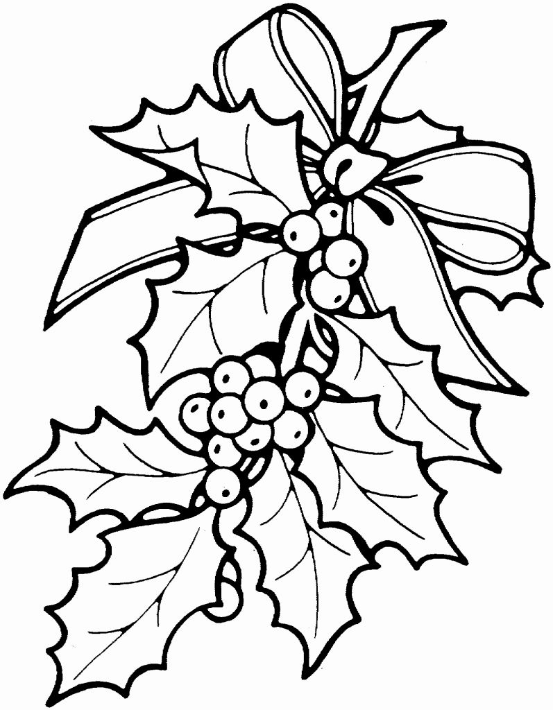 christmas-poinsettia-coloring-page-at-getcolorings-free-printable-colorings-pages-to-print