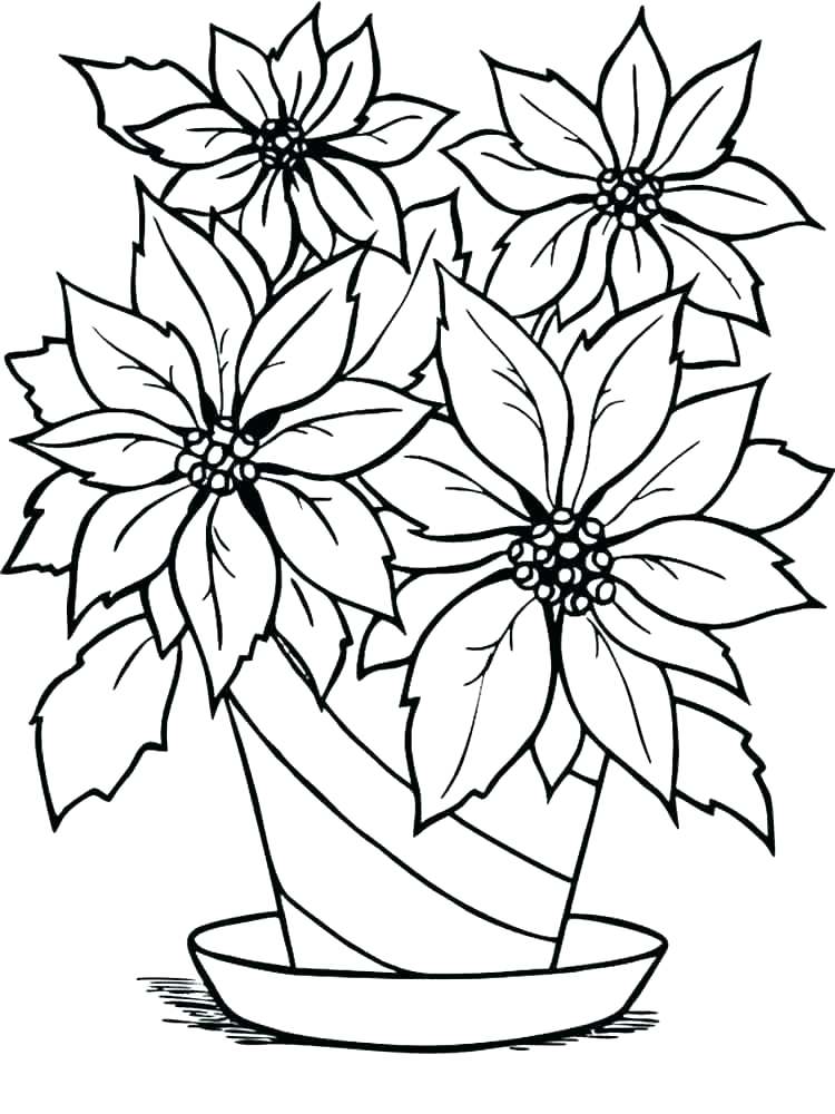 poinsetta-coloring-sheet-coloring-pages